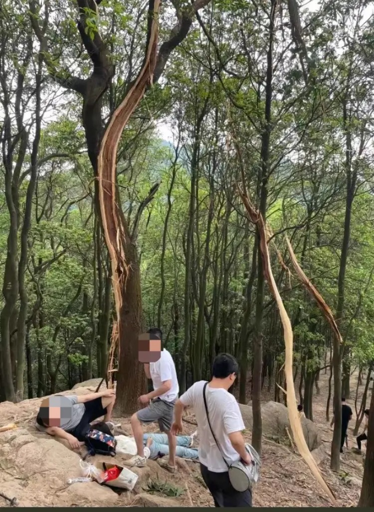 登山遭雷击